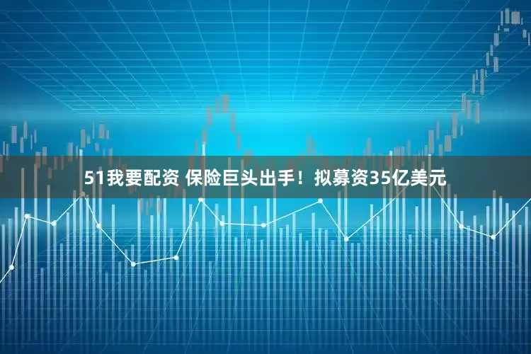 51我要配资 保险巨头出手！拟募资35亿美元